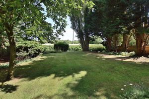 Rear Garden- click for photo gallery